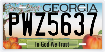 GA license plate PWZ5637