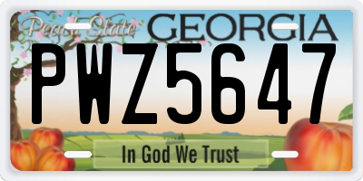 GA license plate PWZ5647