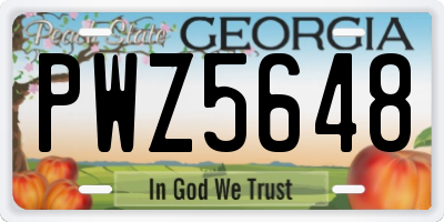 GA license plate PWZ5648