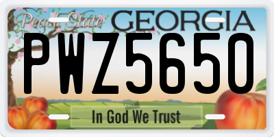 GA license plate PWZ5650