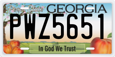 GA license plate PWZ5651