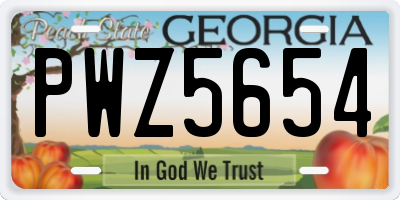 GA license plate PWZ5654