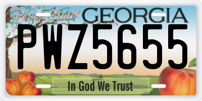 GA license plate PWZ5655