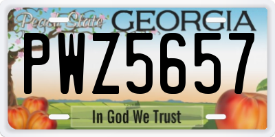 GA license plate PWZ5657