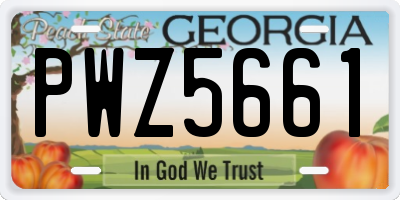 GA license plate PWZ5661
