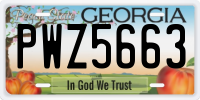 GA license plate PWZ5663