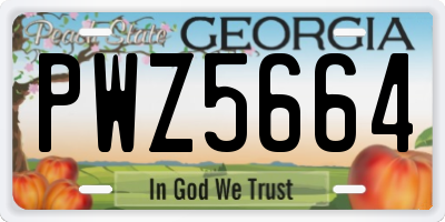 GA license plate PWZ5664