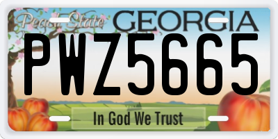 GA license plate PWZ5665