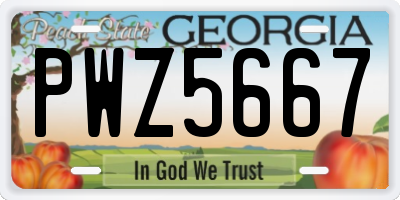 GA license plate PWZ5667