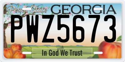 GA license plate PWZ5673