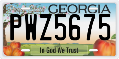 GA license plate PWZ5675
