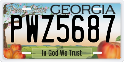 GA license plate PWZ5687