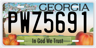 GA license plate PWZ5691