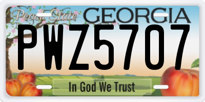 GA license plate PWZ5707