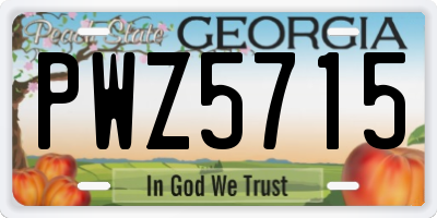 GA license plate PWZ5715