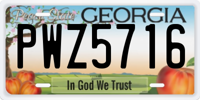 GA license plate PWZ5716
