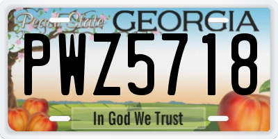 GA license plate PWZ5718
