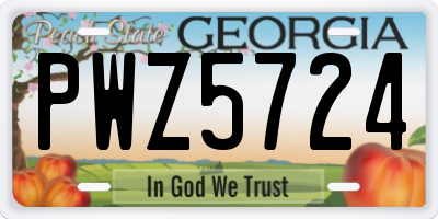 GA license plate PWZ5724
