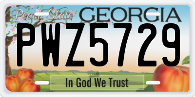 GA license plate PWZ5729