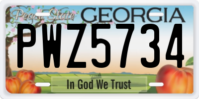 GA license plate PWZ5734