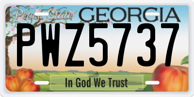 GA license plate PWZ5737