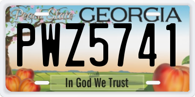 GA license plate PWZ5741