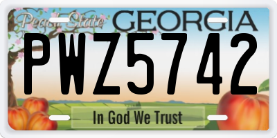 GA license plate PWZ5742