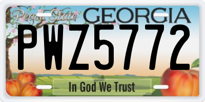 GA license plate PWZ5772