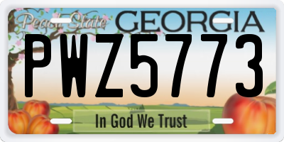 GA license plate PWZ5773