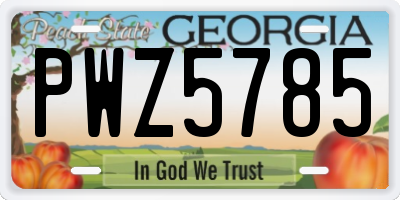 GA license plate PWZ5785