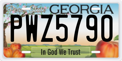 GA license plate PWZ5790