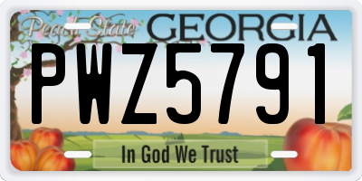 GA license plate PWZ5791