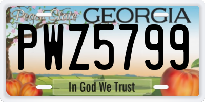 GA license plate PWZ5799