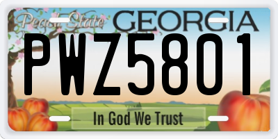 GA license plate PWZ5801