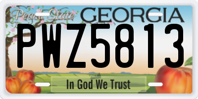 GA license plate PWZ5813