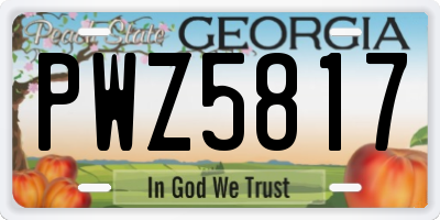 GA license plate PWZ5817
