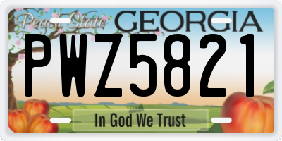 GA license plate PWZ5821