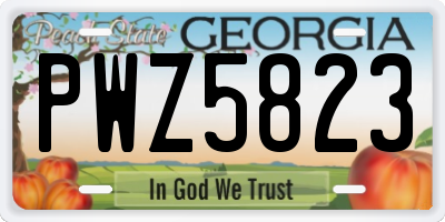 GA license plate PWZ5823