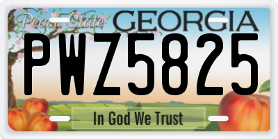 GA license plate PWZ5825
