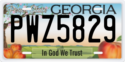 GA license plate PWZ5829