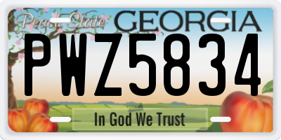 GA license plate PWZ5834
