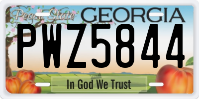 GA license plate PWZ5844