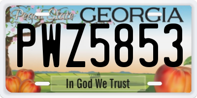 GA license plate PWZ5853