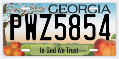 GA license plate PWZ5854