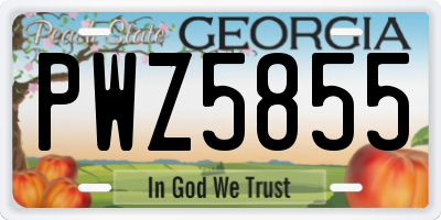 GA license plate PWZ5855
