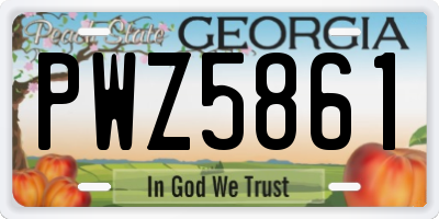 GA license plate PWZ5861