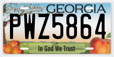 GA license plate PWZ5864