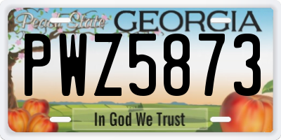 GA license plate PWZ5873
