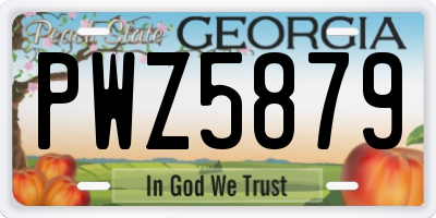 GA license plate PWZ5879