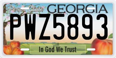GA license plate PWZ5893